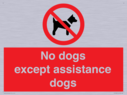 no-dogs-except-assistance-dogs~